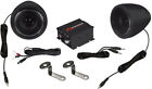 Rxa100b Renegade Motorcycle Kit Speaker And Amplifier Max Black 854932002287
