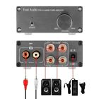 V1.0gray Digital Audio Channel Stereo Class Amplifier Mini Professional 0653472995246
