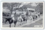 High Ridge Missouri Mo Postcard Saddle Horses Echo Lake Park Ozark Resort C1940. Fixed Price $14.98.