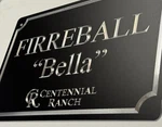 Personalized Custom Diamond Etched Engraved Horse Stall Stable Name Plate 11X7. Fixed Price $44.00.