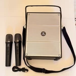 100W Powerful Voice Amplifier With 2 Wireless Microphones, Big Pro Sound. Fixed Price $129.49.