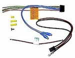 BTA-250D-AWK Amplifier Wiring Kit For BTAXX250D Bass Tubes. Fixed Price $24.99.
